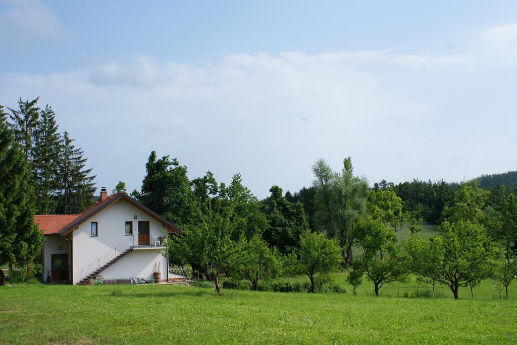 Apartments Leni Postojna Buitenkant foto